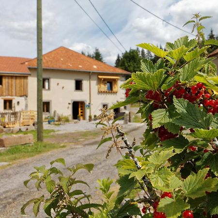 La Ferme De Jean Entre Lacs Et Montagnes Saulxures-sur-Moselotte Ngoại thất bức ảnh