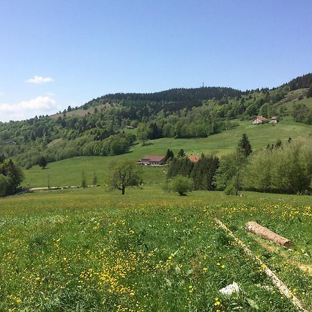 La Ferme De Jean Entre Lacs Et Montagnes Saulxures-sur-Moselotte Ngoại thất bức ảnh