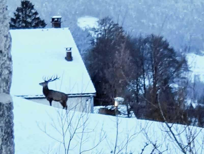La Ferme De Jean Entre Lacs Et Montagnes Saulxures-sur-Moselotte Ngoại thất bức ảnh