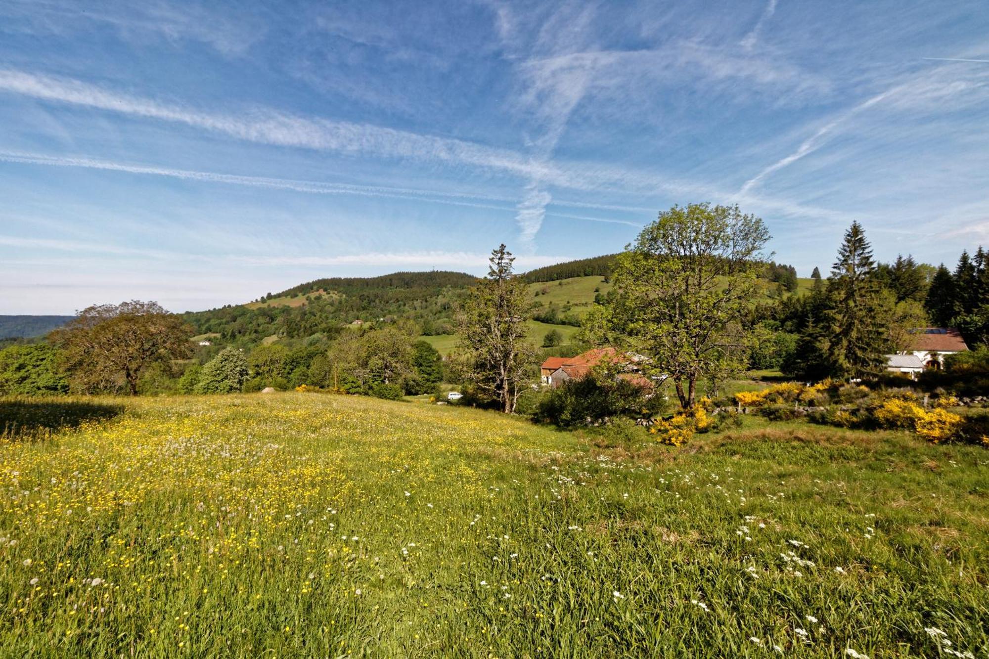 La Ferme De Jean Entre Lacs Et Montagnes Saulxures-sur-Moselotte Ngoại thất bức ảnh