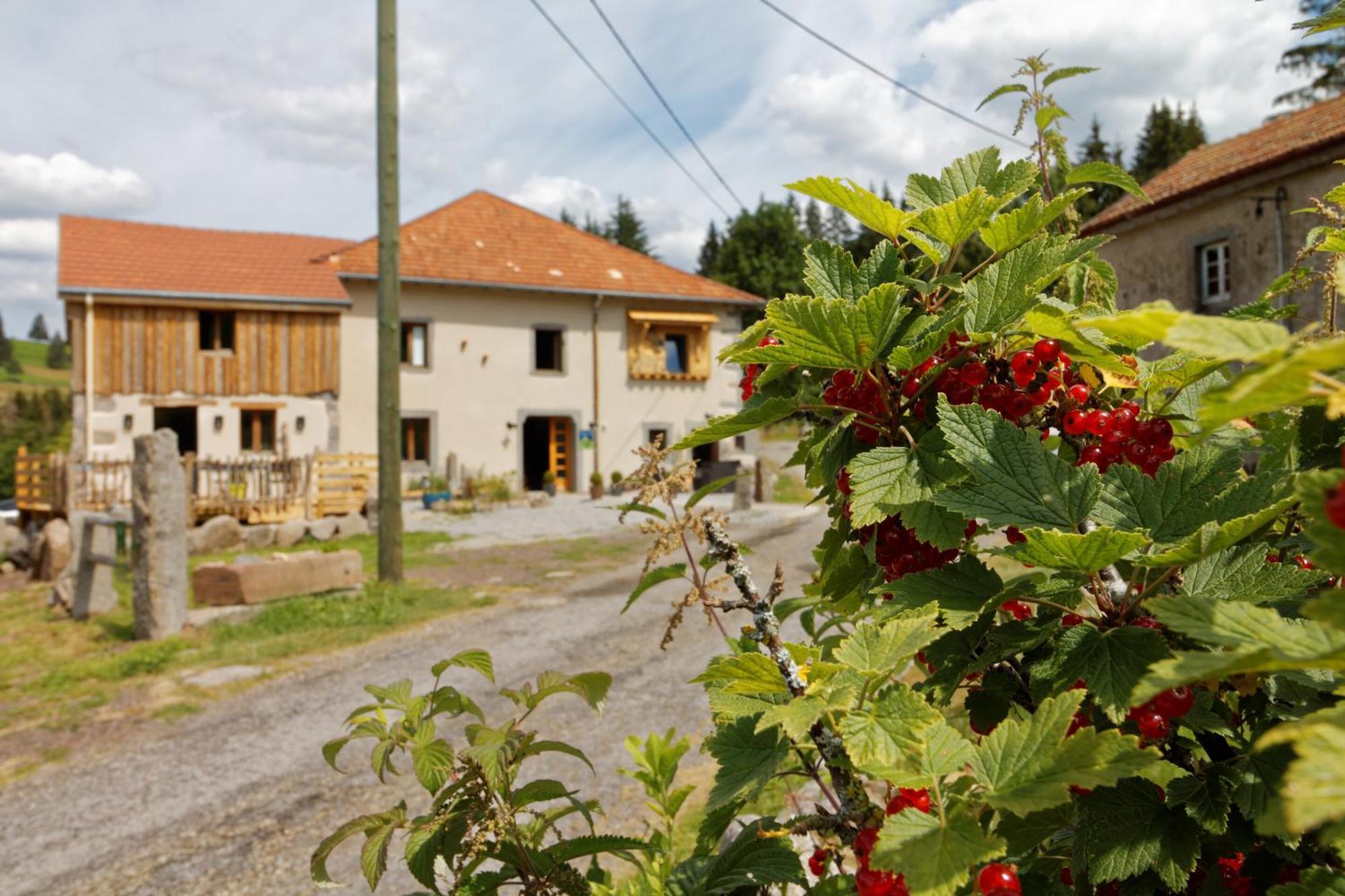 La Ferme De Jean Entre Lacs Et Montagnes Saulxures-sur-Moselotte Ngoại thất bức ảnh
