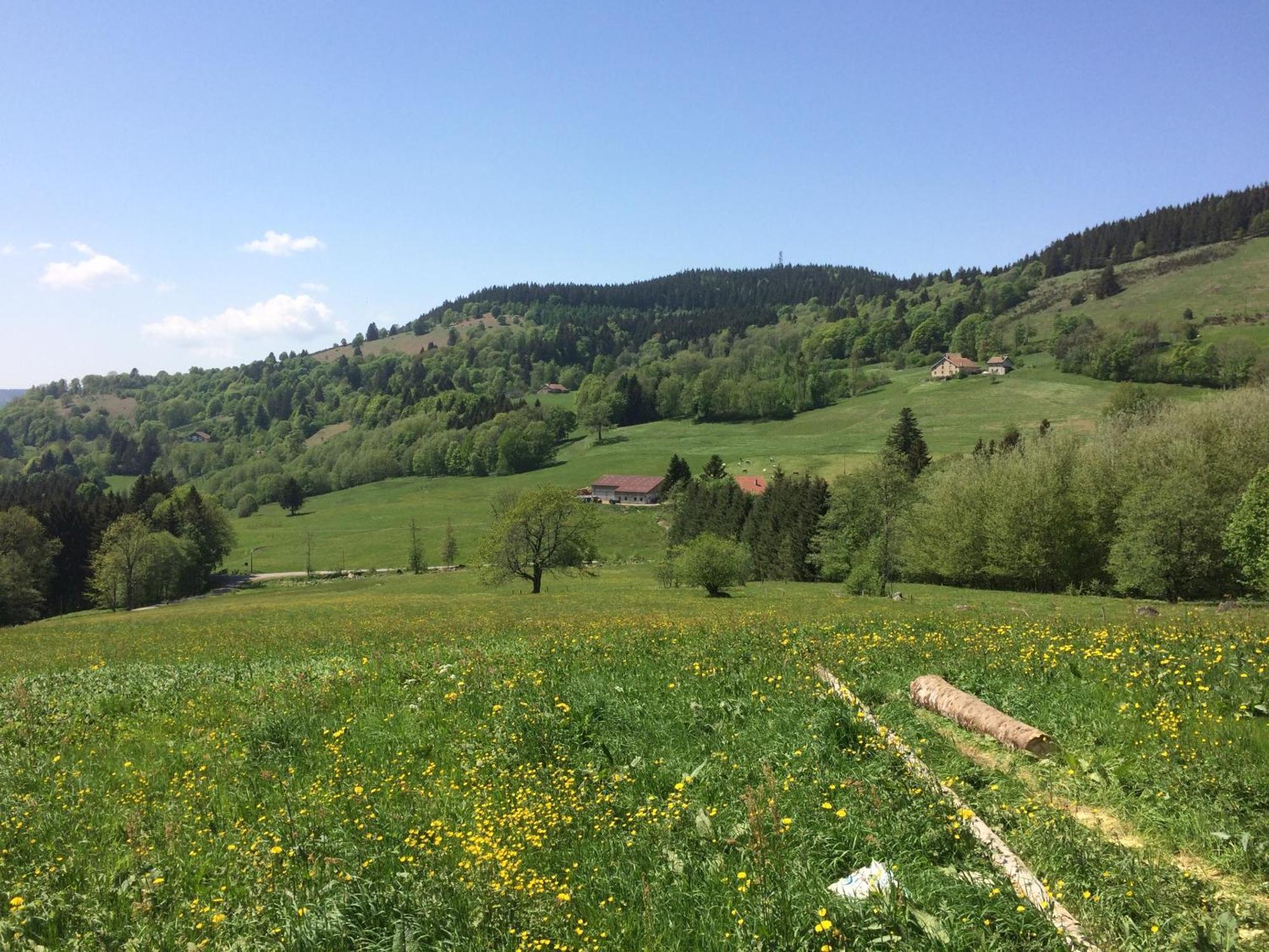La Ferme De Jean Entre Lacs Et Montagnes Saulxures-sur-Moselotte Ngoại thất bức ảnh
