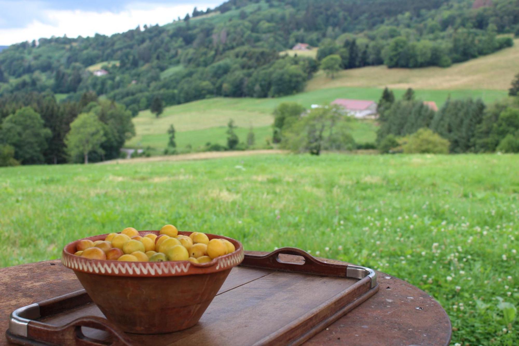 La Ferme De Jean Entre Lacs Et Montagnes Saulxures-sur-Moselotte Ngoại thất bức ảnh